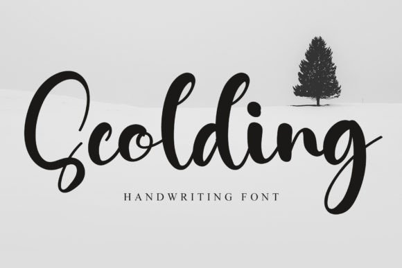 Scolding: A Bold Typeface for Editorial Impact