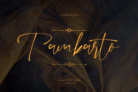 Tambarto: A Signature Script Font for Modern Web Design